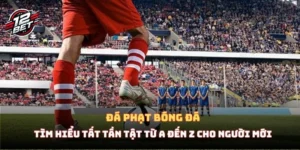 da phat bong da thumbnail