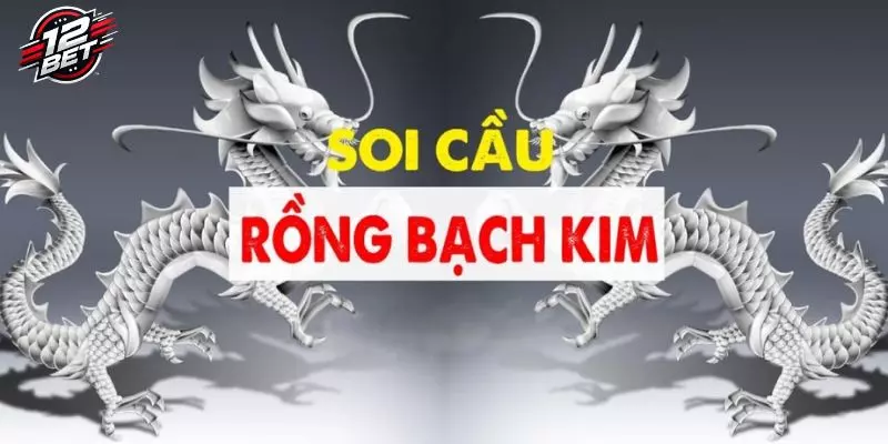 Tìm Hiểu Cách Chơi Dàn Đề Rồng Bạch Kim Đầy Hấp Dẫn 5 Áp dụng một số mẹo để sử dụng dàn đề hiệu quả hơn