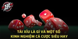 tai xiu la gi anh dai dien