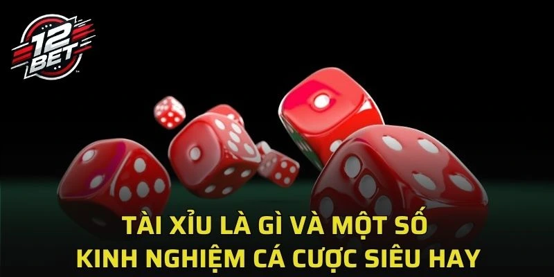 tai xiu la gi anh dai dien