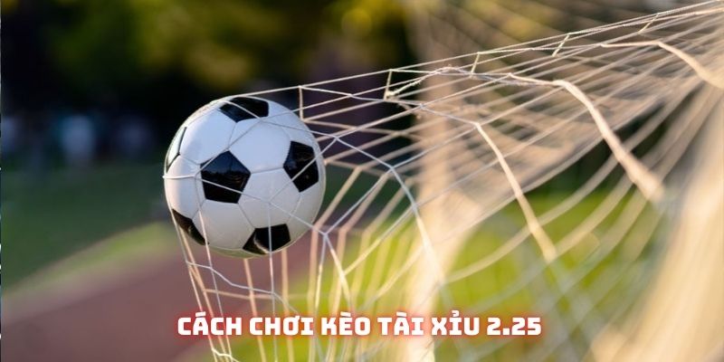 Kèo tài xỉu 2-2.5 là gì? Tổng hợp phương pháp chơi chuẩn 4 Bí quyết chiến thắng khi tham gia tài xỉu 2-2.5