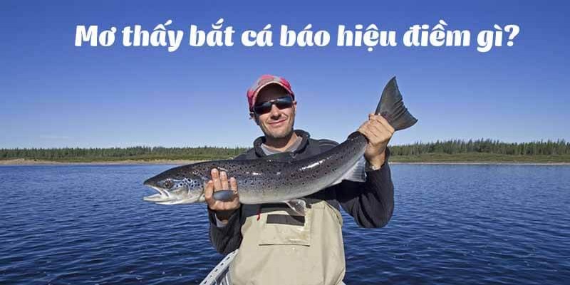 Nằm Mơ Thấy Cá Là Điềm Hung Hay Cát, Đánh Số Nào Thắng Lớn? 3 Nằm mơ thấy đánh bắt cá có phải điềm tốt?