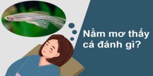Nằm mơ thấy cá